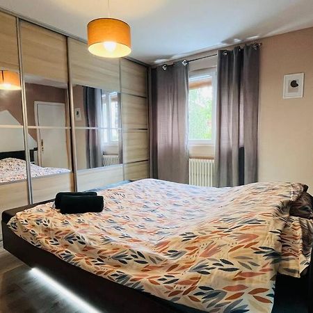 Appartement Proche Centre Ville Avec Parking Gratuit Annecy Exteriér fotografie