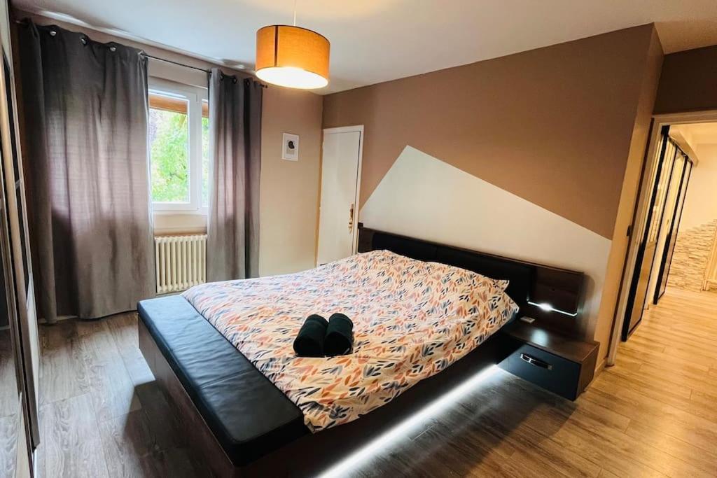 Appartement Proche Centre Ville Avec Parking Gratuit Annecy Exteriér fotografie
